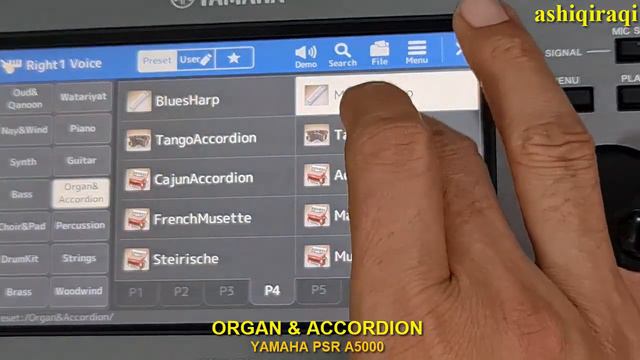 ORGAN AND ACCORDION Voices - Yamaha PSR A5000 смотреть онлайн