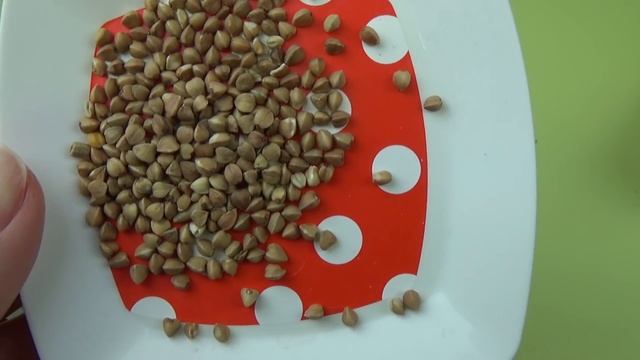 КУКЛА Беби Бон МАЛЬЧИК и Беби Борн ДЕВОЧКА. Делаем с беби боном кормушку для птиц смотреть онлайн