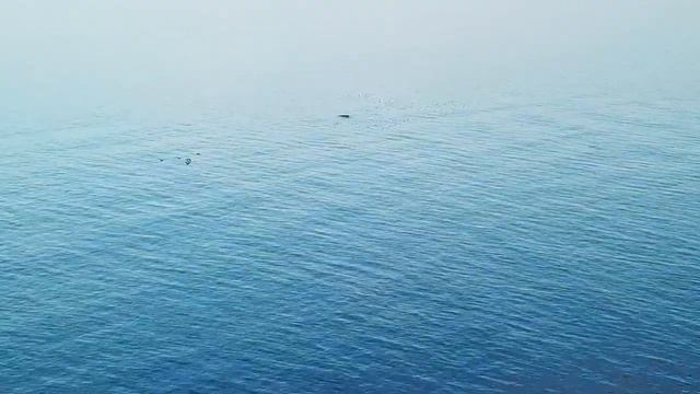 Райский уголок России, Заостровье Калининградская область смотреть онлайн