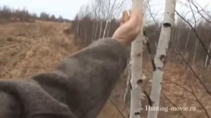 Ярославская область. Охота на лося загоном по чернотропу.