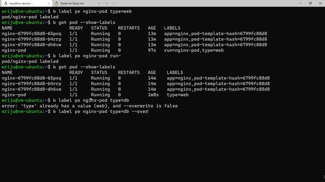 Kubernetes CKAD Tips 10 - Labels смотреть онлайн