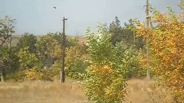Украина. Николаевская обл. Нечаянное. смотреть онлайн