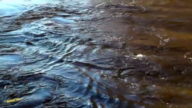 Разлив На Реке Тёша Г.Арзамас смотреть онлайн