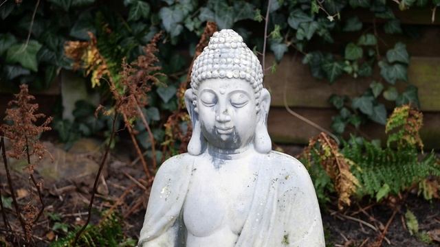 Lumix 42,5mm F1.7 lens | Test | Panasonic Lumix G90 смотреть онлайн