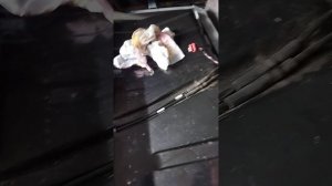 перегорает предохранитель бензонасоса нива4*4..2131