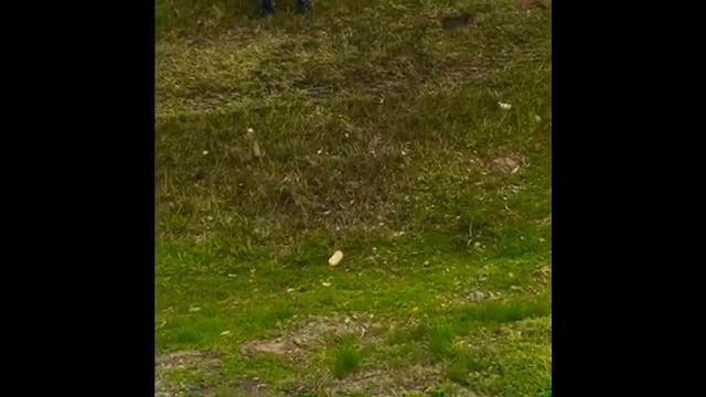 Автоволгастрой , фрезерованием участка Илек граница Казахстана А 305 62-69 километр смотреть онлайн