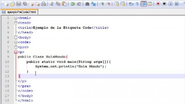 Curso de HTML PHP: Unidad 1: Uso de etiqueta code