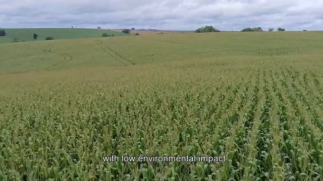 Valagro, innovative solutions for row crops смотреть онлайн
