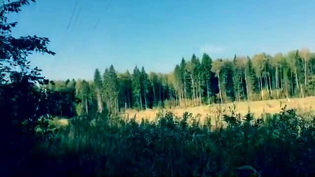Страна читающая. Афанасий Афанасьевич Фет. «Я пришёл к тебе с приветом» смотреть онлайн
