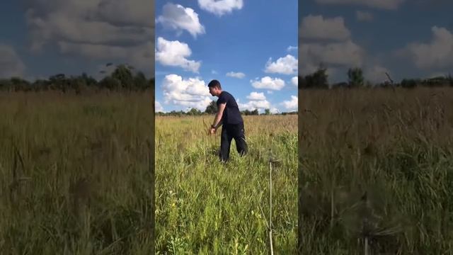 Цигун для жизни. Энергетические практики с деревянным мечом (бокен)