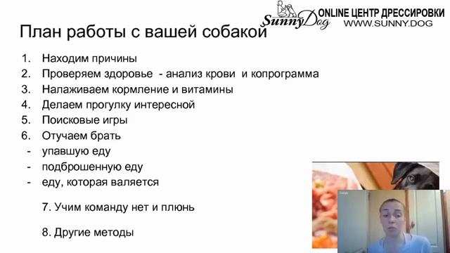 Как правильно отучить собаку подбирать на улице еду? Часть 1 смотреть онлайн
