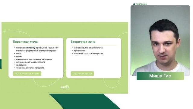 Строение нейрона и процесс образования мочи | Биология с Мишей Гис | ЕГЭ 2024 | SMITUP смотреть онлайн