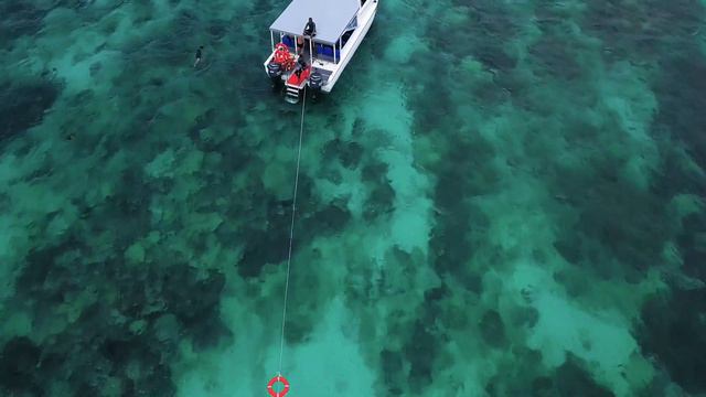 Classical Music, Relaxing Music, Meditation Music Plus 4K Video with Ocean and Seascapes смотреть онлайн