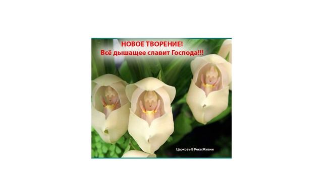 Молитва о том,что Любовь излилась в твое сердце. 29.01.2021 ст.п. Л. Мастерова Церковь В Реке Жизни смотреть онлайн