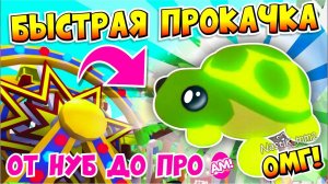 БЫСТРАЯ ПРОКАЧКА ОТ НУБ ДО ПРО В АДОПТ МИ! КАК ПРОКАЧАТЬСЯ ПРИ ПОМОЩИ ЛЕТНЕГО ИВЕНТА?✨ ADOPT ME