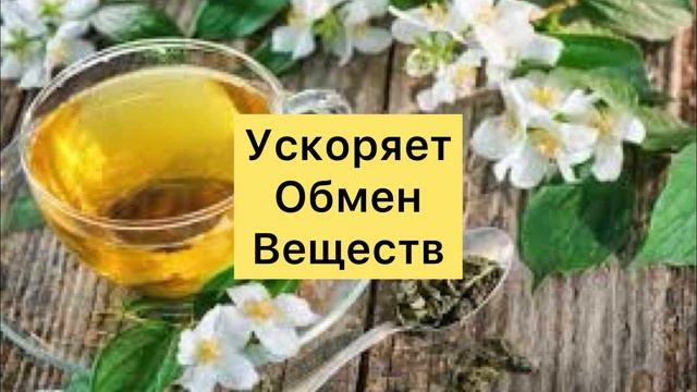 Чем Полезен Жасминовый Чай? смотреть онлайн