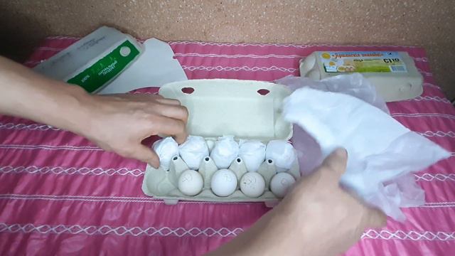 ИЯ, распаковка! Леггорн Далматинец, Леггорн Лавандовый и Борковская Барвистая. #инкубационноеяйцо смотреть онлайн