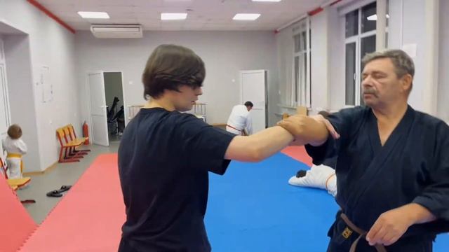 Обучаем новичков движениям АЙКИДО смотреть онлайн