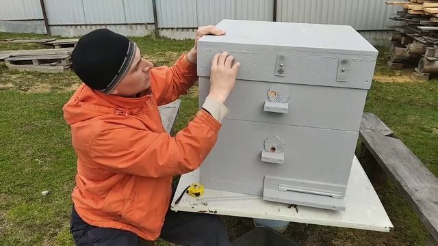 Обзор улей дадан из пенопласта