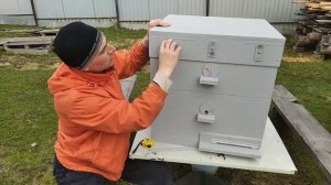 Обзор улей дадан из пенопласта