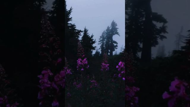 Имя Аллаха (Ар-Раззак) #Биляласад #Ислам #Иман #Аллах #Коран#Намаз#Таухид смотреть онлайн