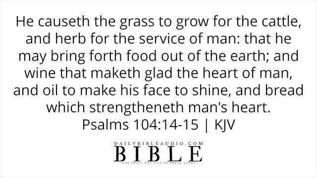 Bible Verses About Drinking | What The Bible Says About Drinking Alcohol & Drunkenness