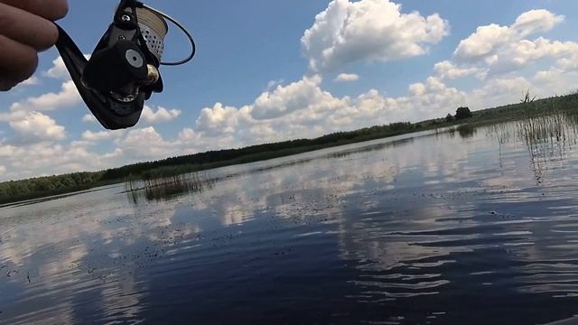 ЛОВЛЯ КРАСНОПЕРКИ на ПОПЛА ПОППЕР в ЖАБОВНИКЕ смотреть онлайн