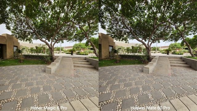 Honor Magic 6 Pro VS Huawei Mate 60 Pro Camera Test Comparison