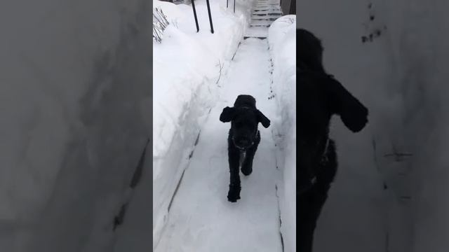 6 февраля 2022 г. смотреть онлайн