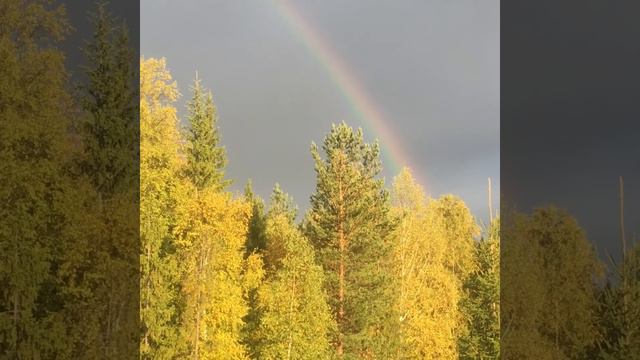Если душа сложила крылья 🙏в моём исполнение. Золотая Осень Югорск 🌈🙌🏻🙏😃 смотреть онлайн