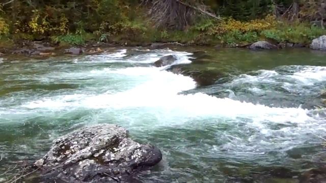 Катон-Карагай .Красивое место на р. Кара-коба, Старо-австрийская дорога. смотреть онлайн