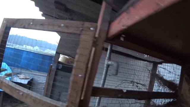 Решил проблему с поением кроликов смотреть онлайн