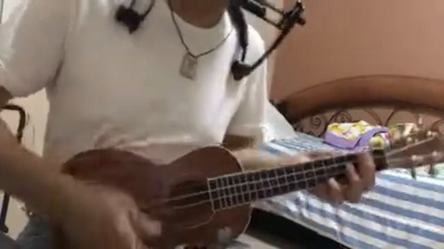 My Love/Paul McCartney/Cover смотреть онлайн