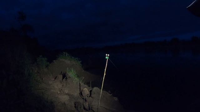 Рыбалка на ДОНКИ, без ЗАМОРОЧЕК с ночевкой! Сом, Судак летом на реке смотреть онлайн