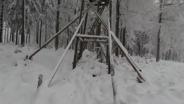 Выпало много снега, гуляем в лесу смотреть онлайн