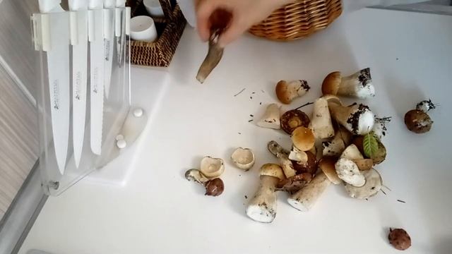 Аншлаг в лесу ? Неудачная грибалка смотреть онлайн