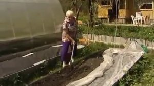 Огород для лентяя который не копают Все Секреты. Галина Кизима