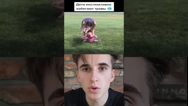 дети инстинктивно избегают травмы смотреть онлайн