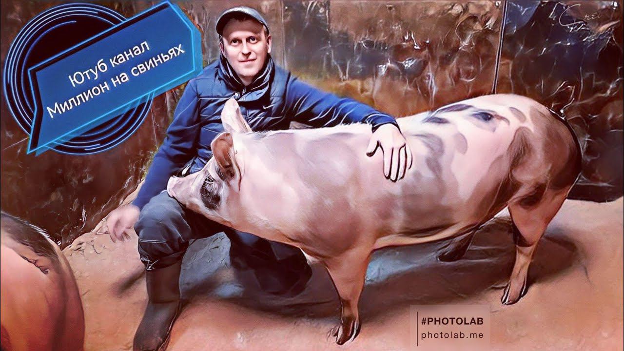 КУПИЛ ЖЕЛЕЗО ДЛЯ ЗАГОНА ‼️УТЕПЛЯЮ СТЕНУ В СВИНАРНИКЕ ‼️ смотреть онлайн