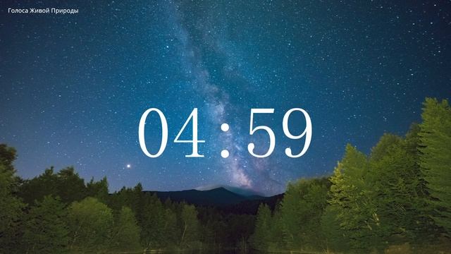 Обратный отсчет Таймер 10 минут. Звуки живой природы / Countdown. Timer 10 Min. #ГолосаЖивойПрироды