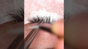 Направление в наращивании ресниц