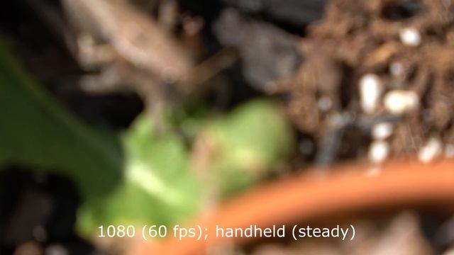 Sony AX53 4K v 1080 Comparison смотреть онлайн