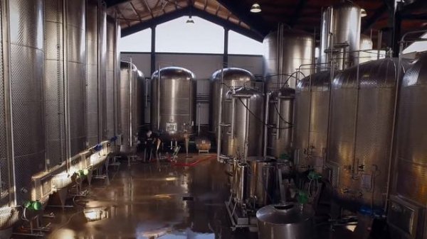 Prosecco - Bottega (versione italiana)