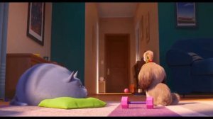 ТАЙНАЯ ЖИЗНЬ ДОМАШНИХ ЖИВОТНЫХ 2