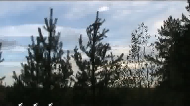 Охота на куницу смотреть онлайн