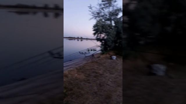 старое видео #East shark #рыбалка #крым смотреть онлайн