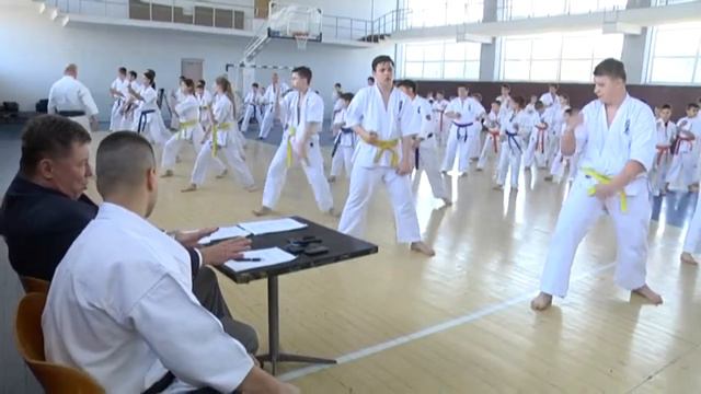 Кіокушин карате атестація на кольорові пояси 2019 смотреть онлайн