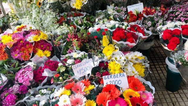 Аргентина / Буэнос-Айрес / Ретиро/ Мой каждодневный путь в Театр Колон. смотреть онлайн