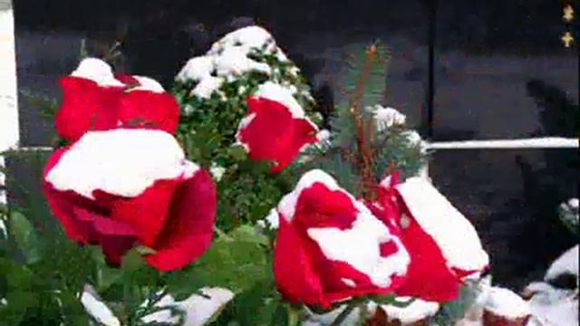 KRISTINA CORP. SNEG NA ROSAX.Снег на розах. wmv смотреть онлайн