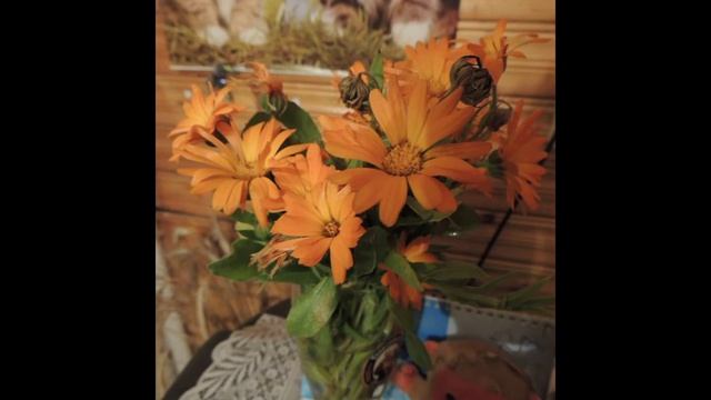 Охра и малахит ❤ (стихи - Ольга Дейнега. Муз., исп. - Галина Банько) Красивый романс! О деревне... смотреть онлайн